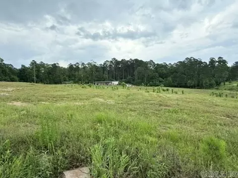 2184 Ozark Loop, Bismarck, AR 71929 photo 12
