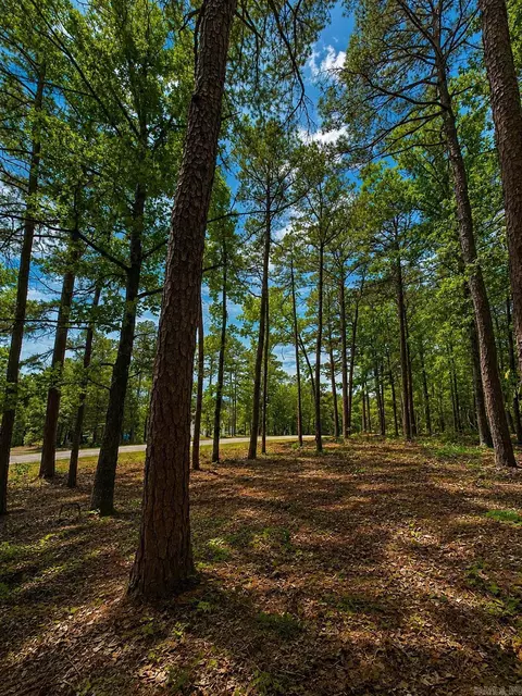 lot12 A Edgewater Dr, Edgemont, AR 72044 photo 15