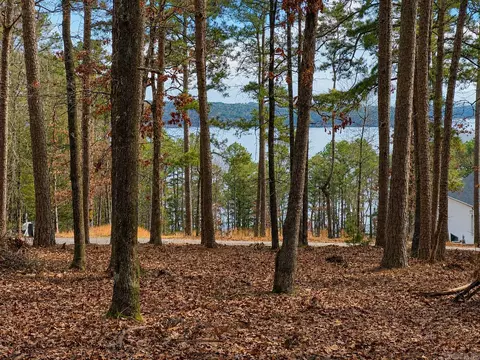 lot12 A Edgewater Dr, Edgemont, AR 72044 photo 12
