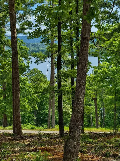 lot12 A Edgewater Dr, Edgemont, AR 72044 photo 14