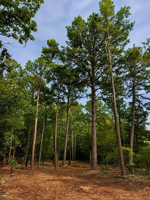 lot12 A Edgewater Dr, Edgemont, AR 72044 photo 10