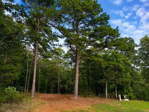 lot12 A Edgewater Dr, Edgemont, AR 72044 photo 9