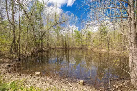 9105 Gilbert Rd, Benton, AR 72019 photo 11