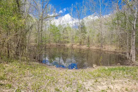 9105 Gilbert Rd, Benton, AR 72019 photo 10