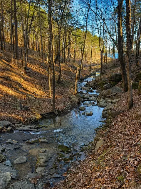 lot32 Edgewater Dr, Edgemont, AR 72044 photo 8