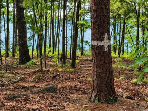 lot R1 Lakewood Dr, Edgemont, AR 72044