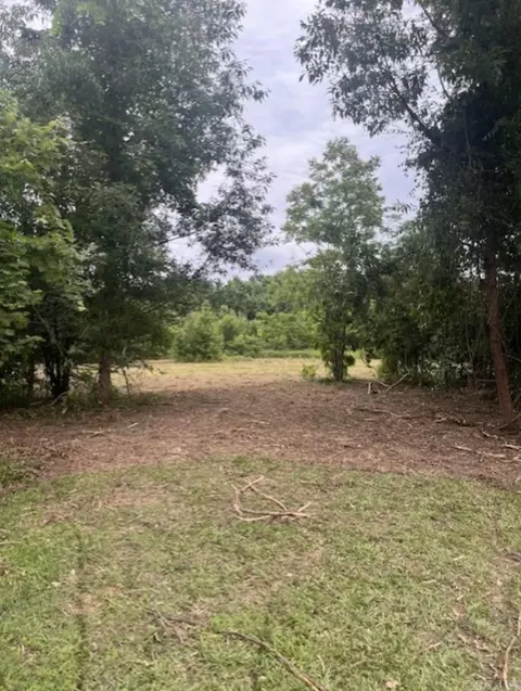 00 Tpm Ln, Conway, AR 72032 photo 7
