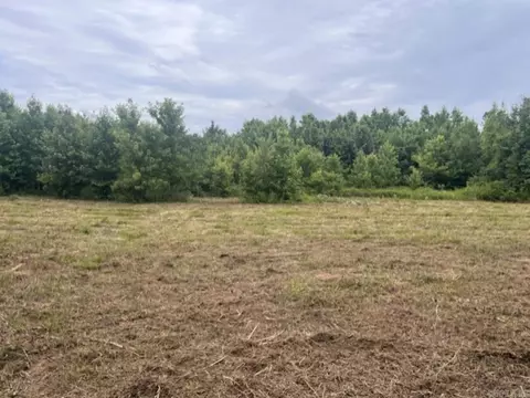 00 Tpm Ln, Conway, AR 72032 photo 5