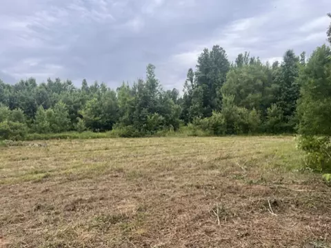 00 Tpm Ln, Conway, AR 72032 photo 4