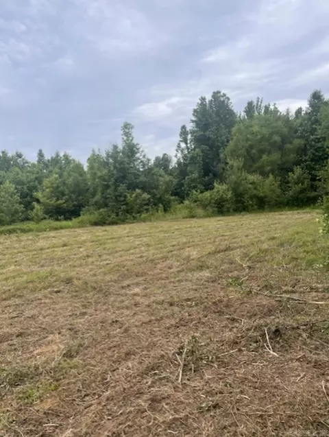 00 Tpm Ln, Conway, AR 72032 photo 3