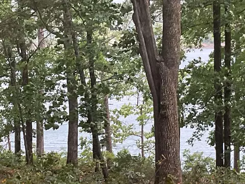 View/Area - 74 Circle Acres, Edgemont, AR 72044 photo 3 of 6