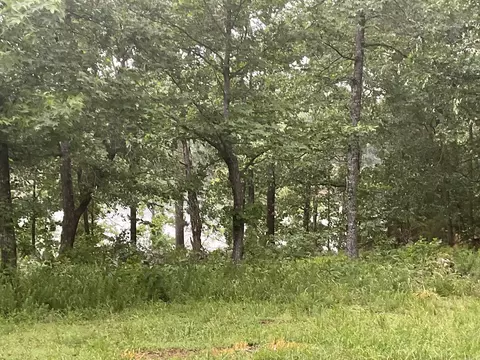 View/Area - 74 Circle Acres, Edgemont, AR 72044 photo 5 of 6