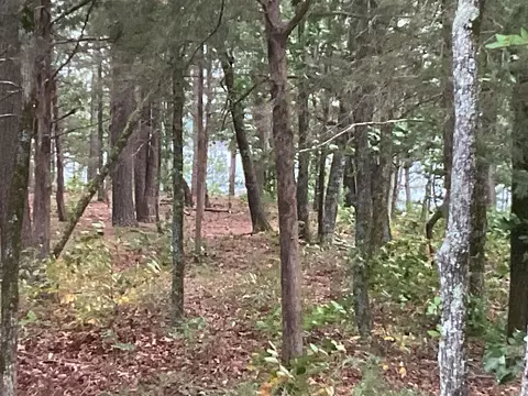 View/Area - 74 Circle Acres, Edgemont, AR 72044 photo 4 of 6