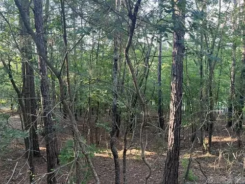26 Piocha Ln, Hot Springs Village, AR 71909
