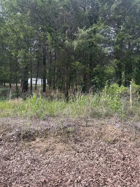 1440 Hideout Road Rd, Pleasant Plains, AR 72568