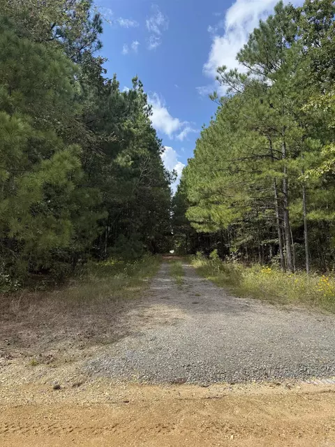 286 Bradley 68 Rd, Warren, AR 71671 photo 3