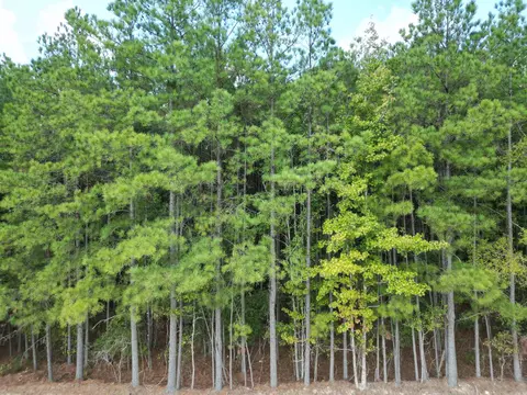 286 Bradley 68 Rd, Warren, AR 71671 photo 12