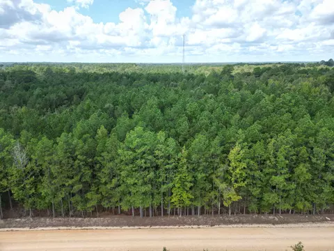 286 Bradley 68 Rd, Warren, AR 71671 photo 11