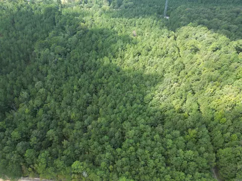 286 Bradley 68 Rd, Warren, AR 71671 photo 10