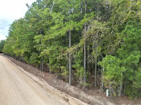 286 Bradley 68 Rd, Warren, AR 71671 photo 15