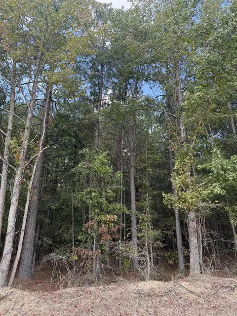 286 Bradley 68 Rd, Warren, AR 71671 photo 5