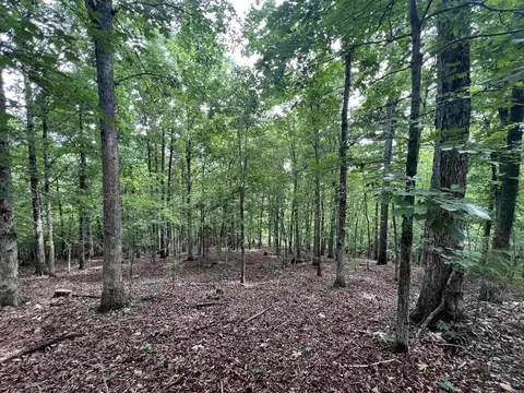 2661 Red Bluff Rd, Marshall, AR 72650 photo 2