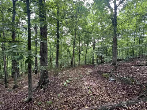 2661 Red Bluff Rd, Marshall, AR 72650 photo 5