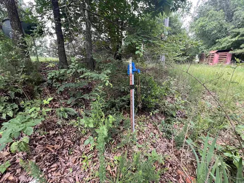 2661 Red Bluff Rd, Marshall, AR 72650 photo 4