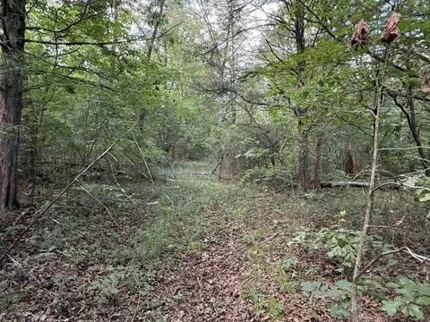 tbd Bell Foley Rd, Poughkeepsie, AR 72569 photo 3