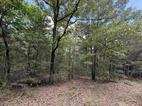 tbd Bell Foley Rd, Poughkeepsie, AR 72569 photo 4