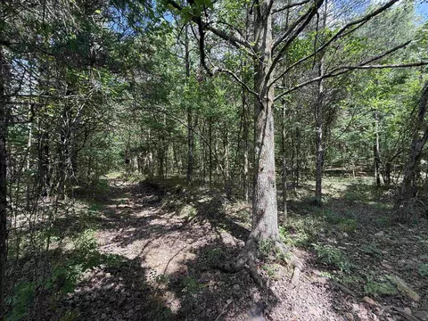 tbd Bell Foley Rd, Poughkeepsie, AR 72569 photo 2