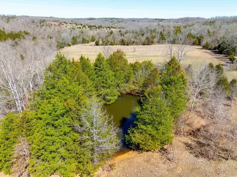 Cr 232, Henderson, AR 72544 photo 16