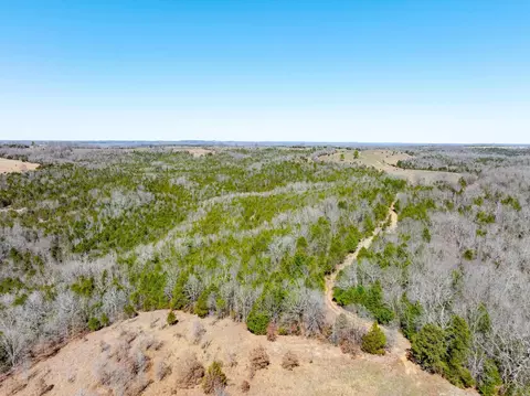 Cr 232, Henderson, AR 72544 photo 22