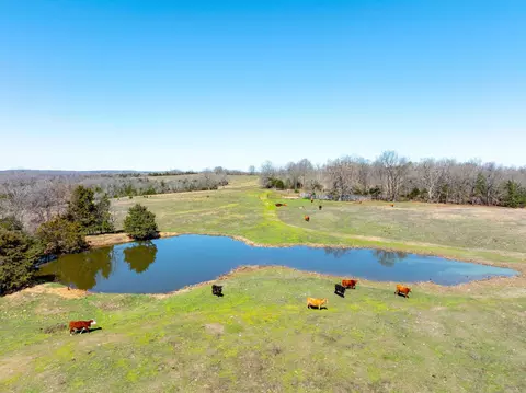Cr 232, Henderson, AR 72544