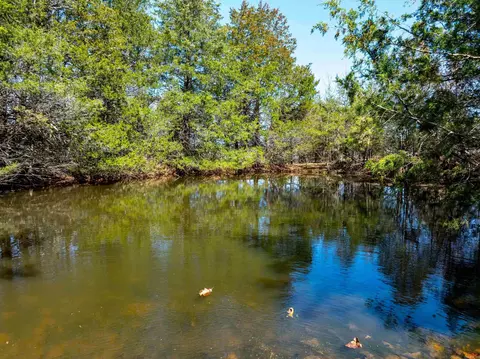 Cr 232, Henderson, AR 72544 photo 10