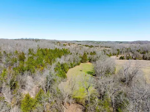 Cr 232, Henderson, AR 72544 photo 17