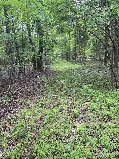 40 Acres County Road 326, Jonesboro, AR 72401