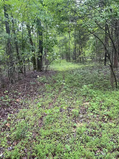 10 Acres County Road 326, Jonesboro, AR 72401
