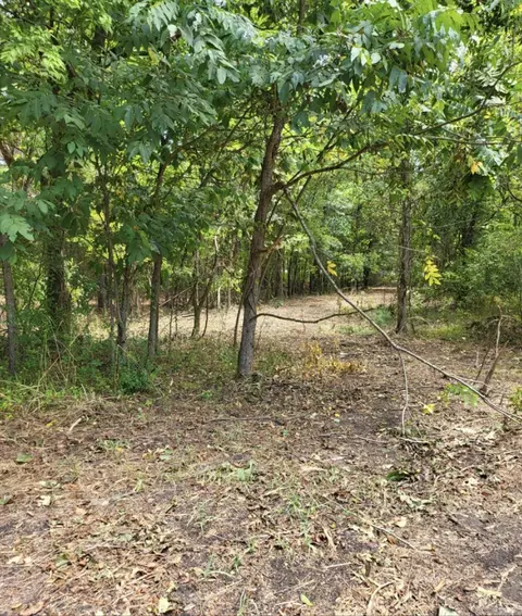 Tract B Alexander Road, Alexander, AR 72002 photo 30