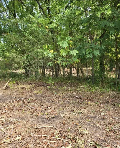 Tract B Alexander Road, Alexander, AR 72002 photo 33