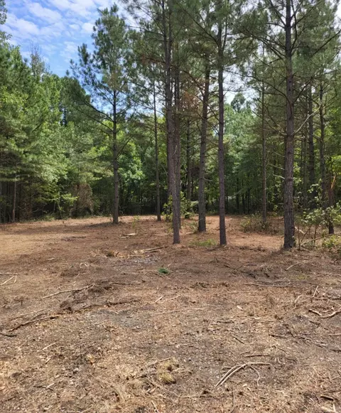 Tract B Alexander Road, Alexander, AR 72002 photo 37