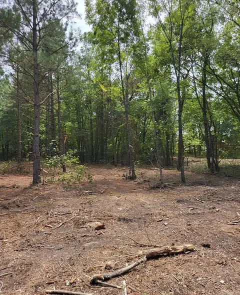 Tract B Alexander Road, Alexander, AR 72002 photo 36