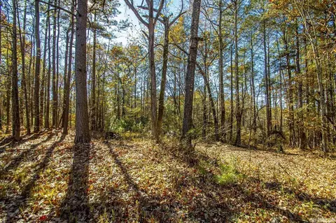 Vimy Woods Drive, Alexander, AR 72022