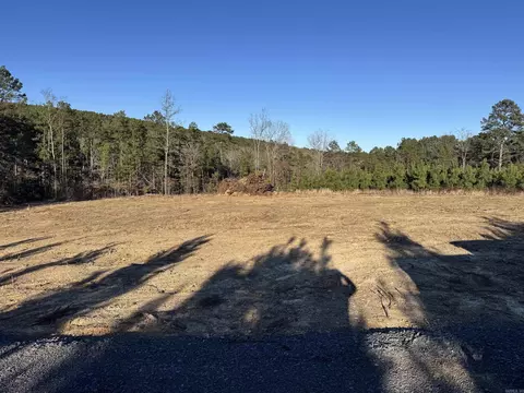 950 Tarter Hill Rd, Quitman, AR 72131 photo 4