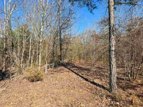 100 Guy Ln, Quitman, AR 72131 photo 2