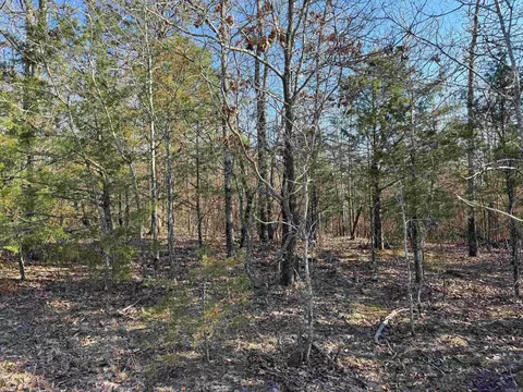 100 Guy Ln, Quitman, AR 72131 photo 12