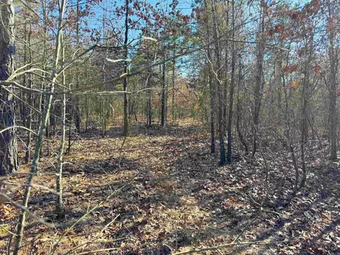 100 Guy Ln, Quitman, AR 72131 photo 7