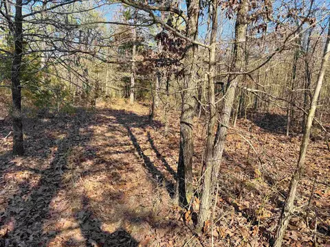 100 Guy Ln, Quitman, AR 72131 photo 8