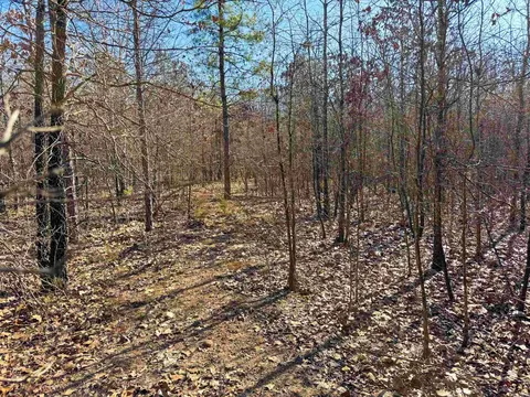 100 Guy Ln, Quitman, AR 72131 photo 3