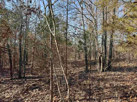 100 Guy Ln, Quitman, AR 72131 photo 11